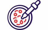 Haematology