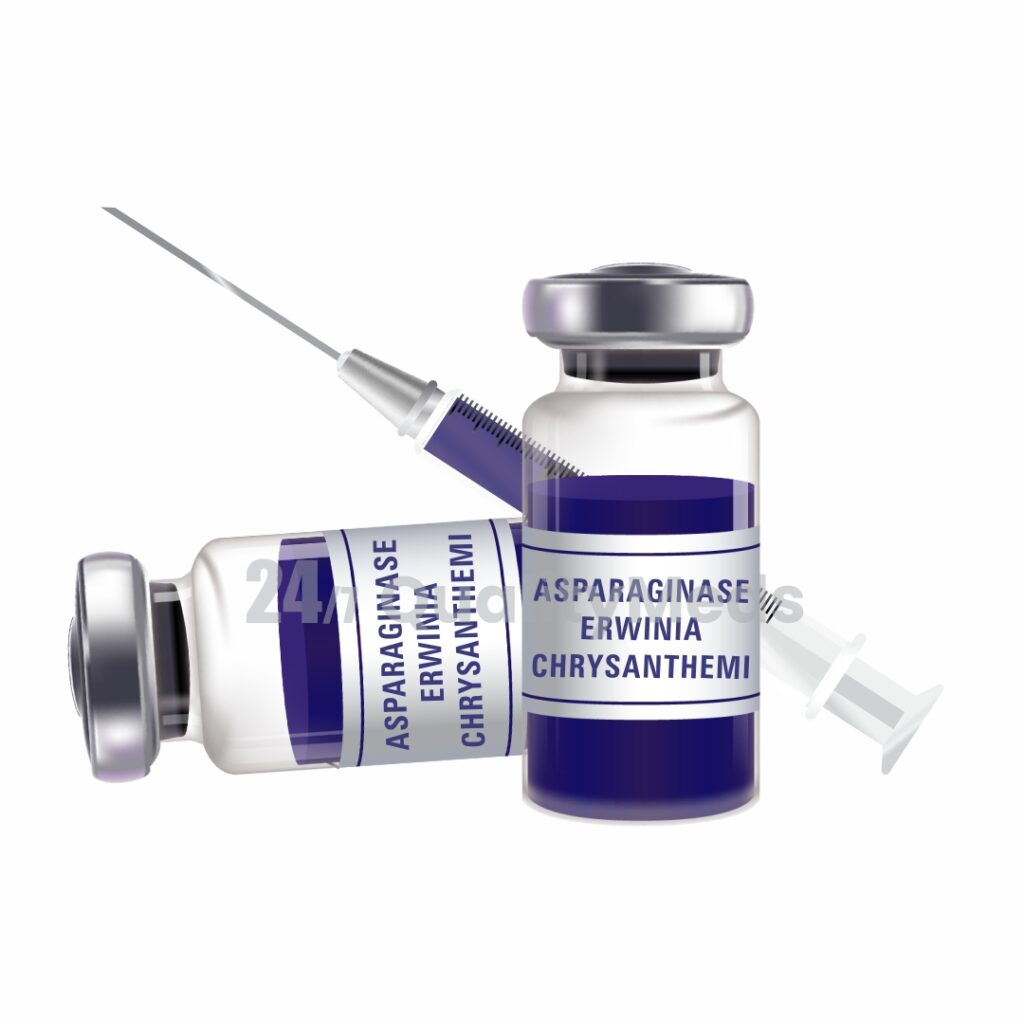 Asparaginase Erwinia Chrysanthemi