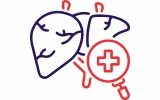 Hepatology