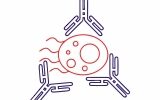 Immunosuppression