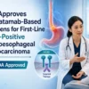 FDA-approved zanidatamab treatment for HER2-positive gastroesophageal adenocarcinoma and zanidatamab price in India